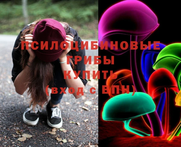 ГАЛЛЮЦИНОГЕННЫЕ ГРИБЫ Алексин