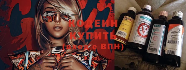 ГАЛЛЮЦИНОГЕННЫЕ ГРИБЫ Алексин